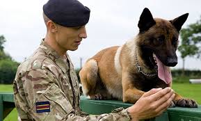 Military Dog Handlers
